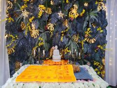 -彩虹桥宠物火化殡葬善终服务(金乐大厦店)