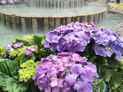 -龙佳生态温泉山庄