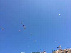 -海驴岛(荣成市)