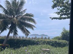 -海南分界洲岛旅游区