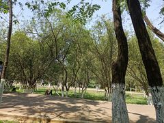 -昆明动物园
