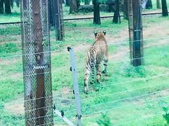 -秦皇岛野生动物园