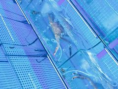 -前王院•巧克力海鲜市集餐厅(万平口店)