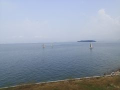 -七鲜渔港美食餐厅(巽寮湾海景店)