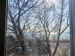 -了不起的考拉咖啡店(高新店)