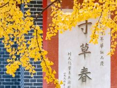 -四川大学(望江校区)