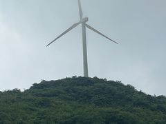 -齐岳山