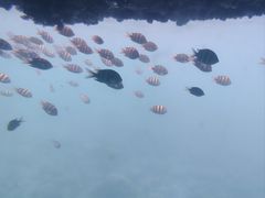 -亚龙湾海底世界