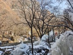 -少华山国家森林公园