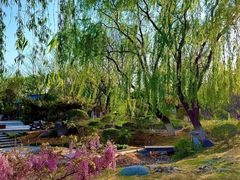 -济南国际园博园