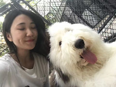 -TrueLove @ Neverland (Husky Cafe)