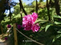 -国家植物园南园
