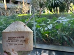 -三亚太阳湾柏悦酒店