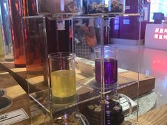 -1828王老吉·草本新茶(珠江新城地铁站店)