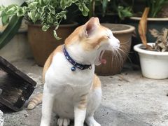 -多春茶室
