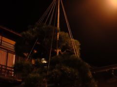 -城崎温泉 外七汤