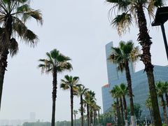 -金沙湖公园
