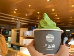 -雪绿茶博物馆