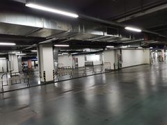 -苗氏卷子鸡(张掖金鸿大厦店)