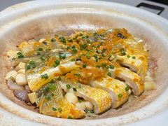 黄椒酱焗黄鱼-高佳庄·海鲜酒楼(东港店)