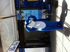 景观位-Blue Bay Buffet ResTaurAnt