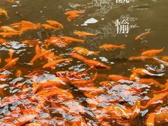 -刘伯温故里景区百丈漈