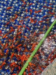 -酷嗒动物文化乐园(cutezoo西溪乐天城店)