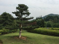 -习家池