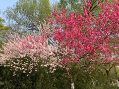 -南通濠河风景名胜区