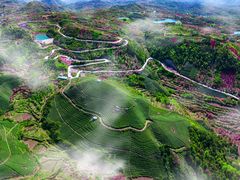 -宁波余姚老柿林山居度假村