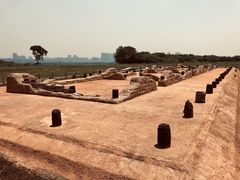 -盘龙城国家考古遗址公园