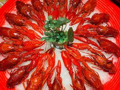 -乔街深夜食堂·小龙虾·高压锅生蚝(杭州总店)