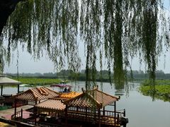 -白洋淀风景区