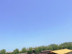 -泗洪洪泽湖湿地景区