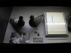 DSCN5978-上海公安博物馆