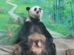 -灵玲国际马戏城