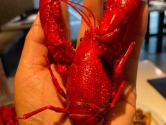 -红盔甲·小龙虾(天钥桥店)