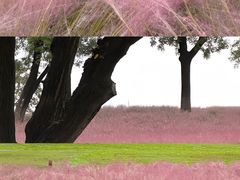 -汉长安城未央宫国家考古遗址公园