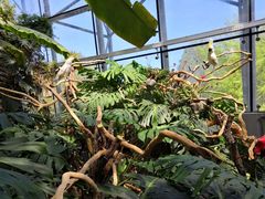 -北京植物园-展览温室