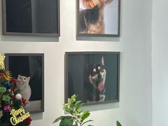 -橡皮照相馆