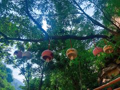 -黑龙潭风景区