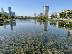 -后襄河公园