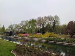 -元大都城垣遗址公园