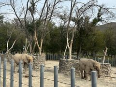 -新疆天山野生动物园