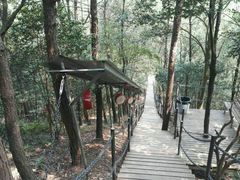 -浏阳石牛寨风景区