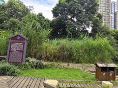 -成都市活水公园