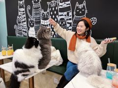 -安格丽娜·狗咖·猫咖羊驼咖(春熙路百盛商场店)