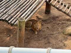 -西霞口神雕山野生动物世界