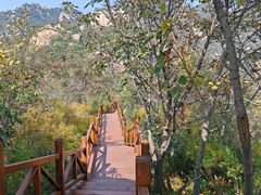 -大岭沟猕猴桃谷风景区