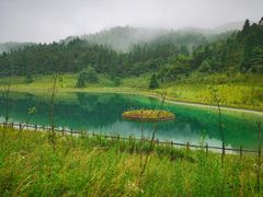 -武陵山森林公园